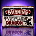 Warning – Highly Trained Dragon Metallschild